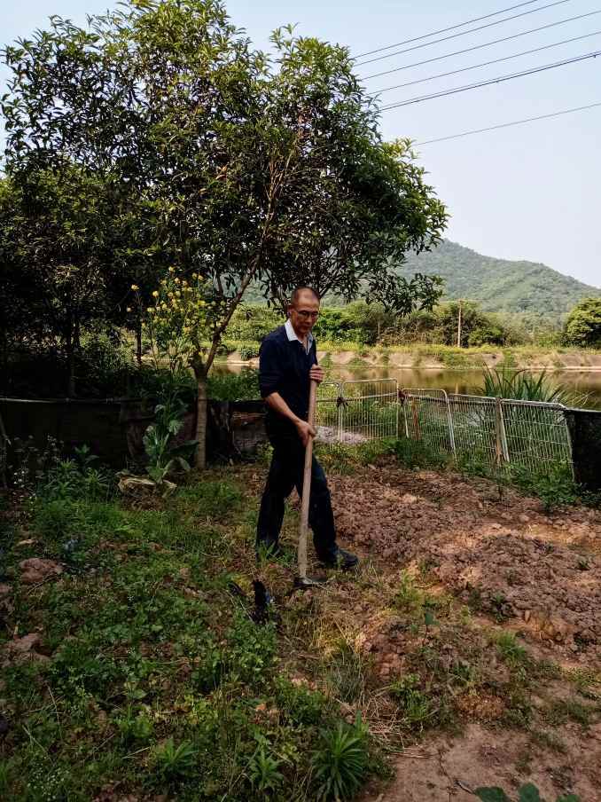 1592808047776422.jpg 圖片12_678_904_39.jpg