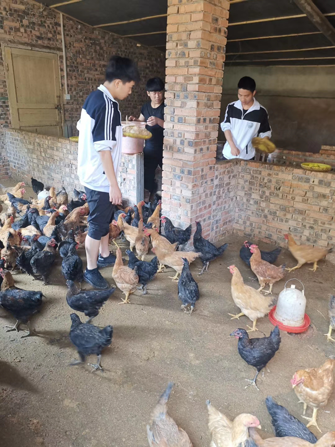 1594621138647370.png 圖片25.png