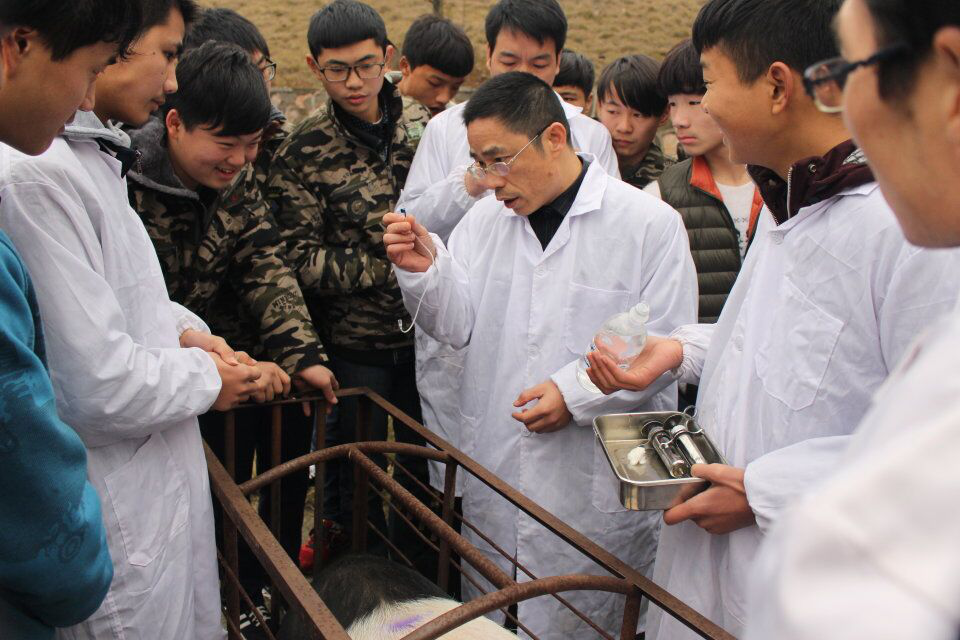 1594621196274112.png 圖片26.png