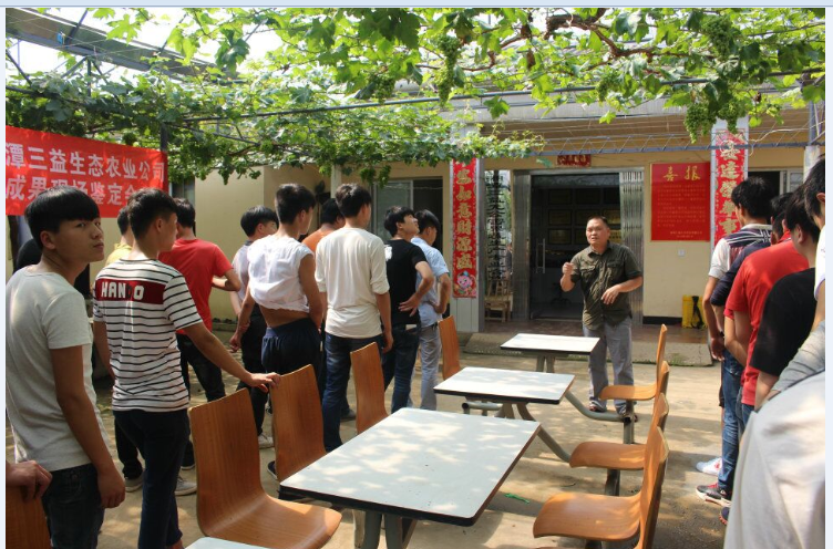 1594621252107054.png 圖片28.png