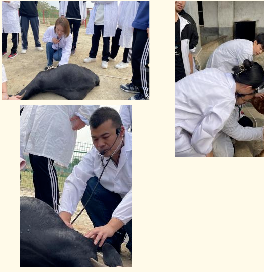 1679384205583467.png 圖片2.png