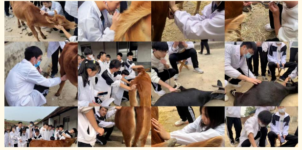 1679384221112145.png 圖片3.png