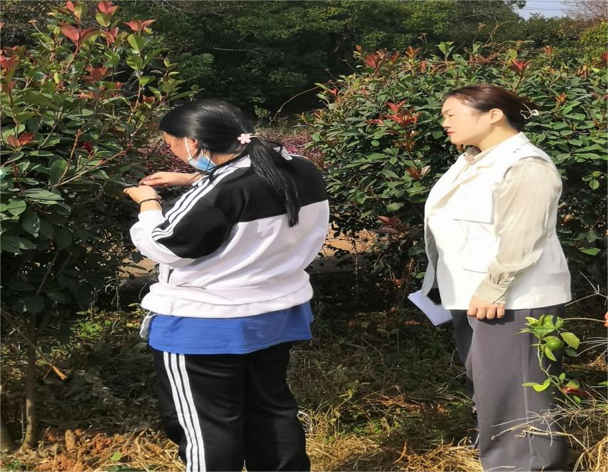 1679385095124159.png 圖片17(1).png